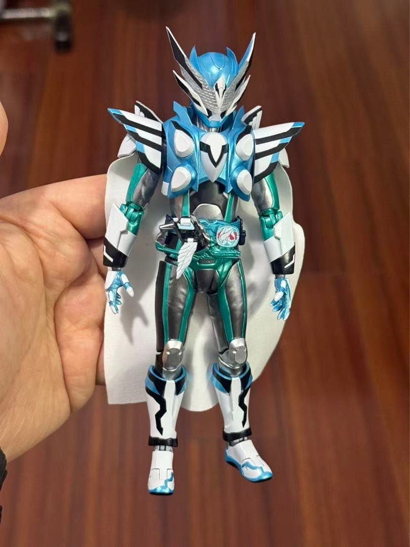 専用　コーカサス　ライブ