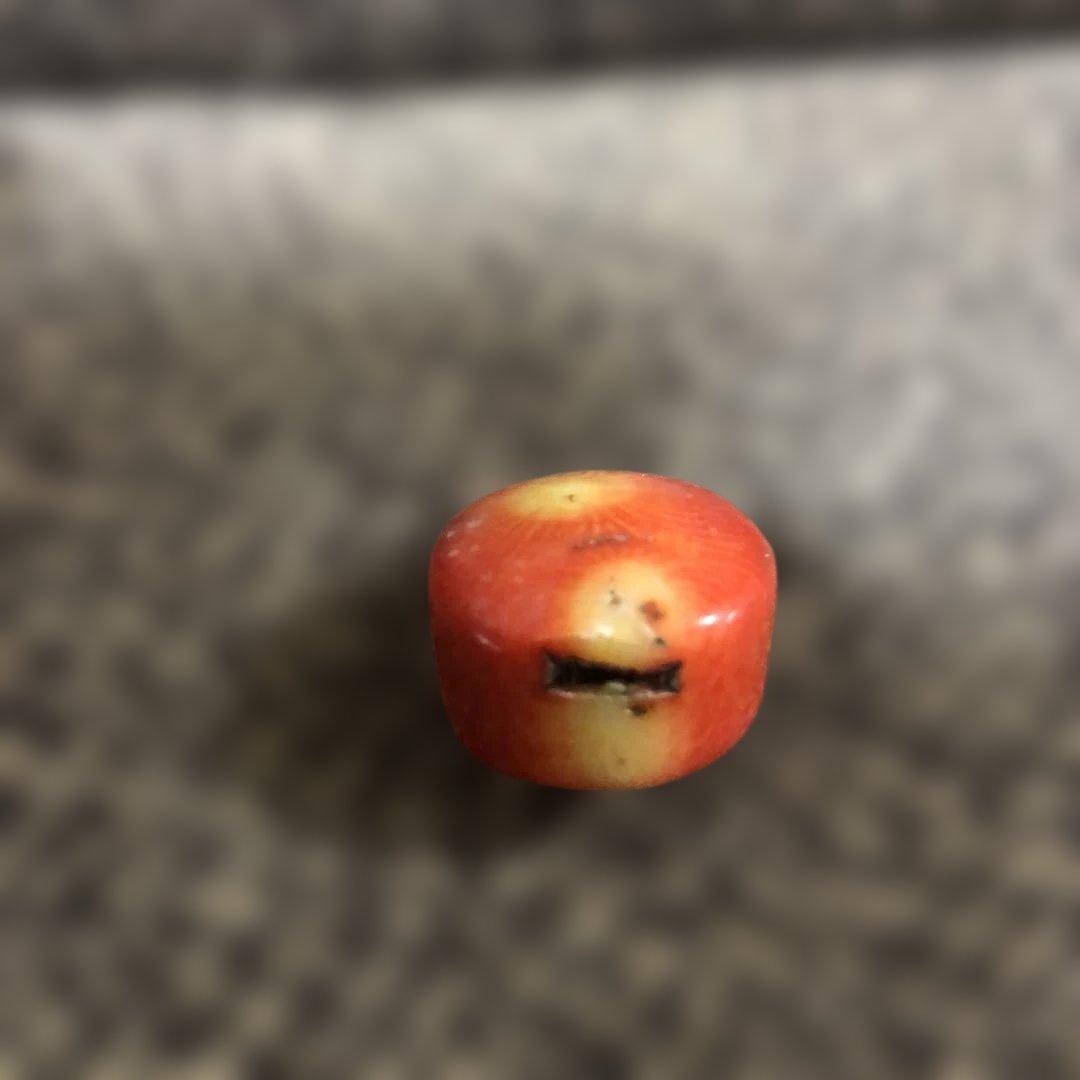 鼻煙壷　赤珊瑚