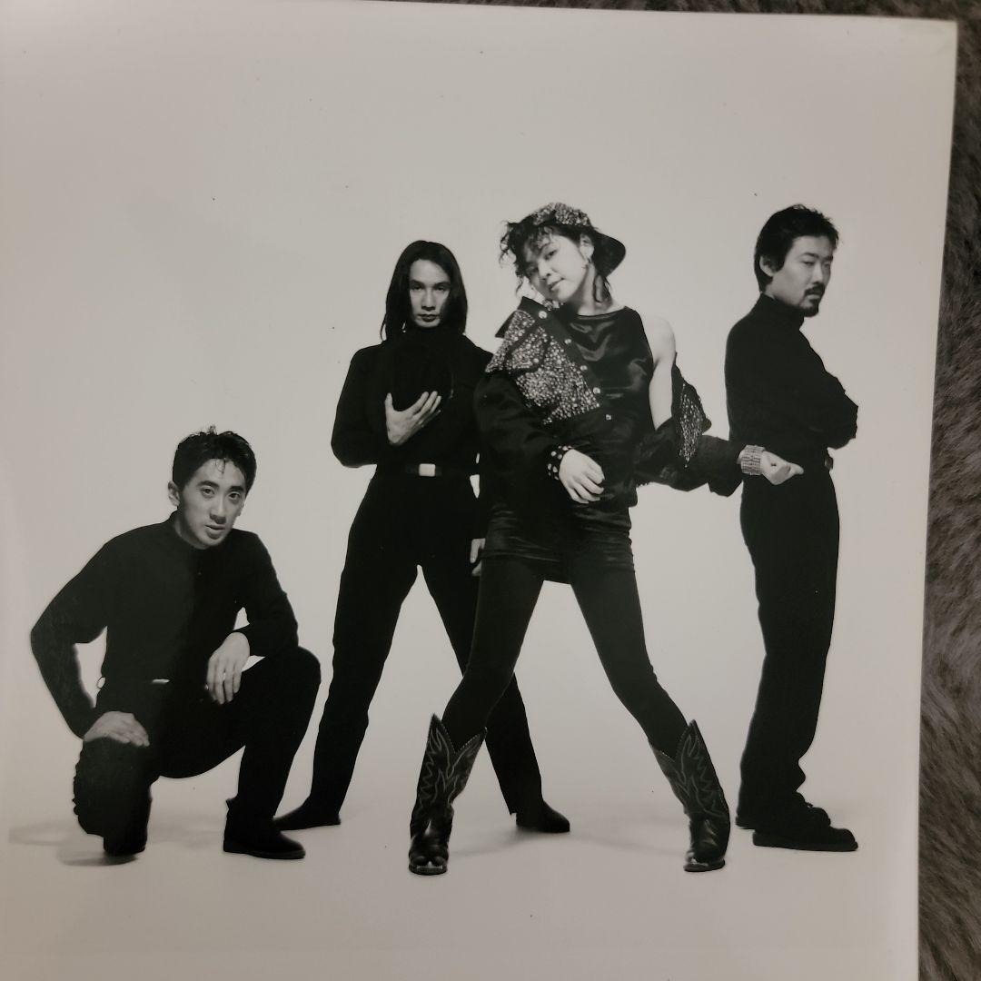 ま*さ様 【レア】レベッカ　宣伝用 写真2L版