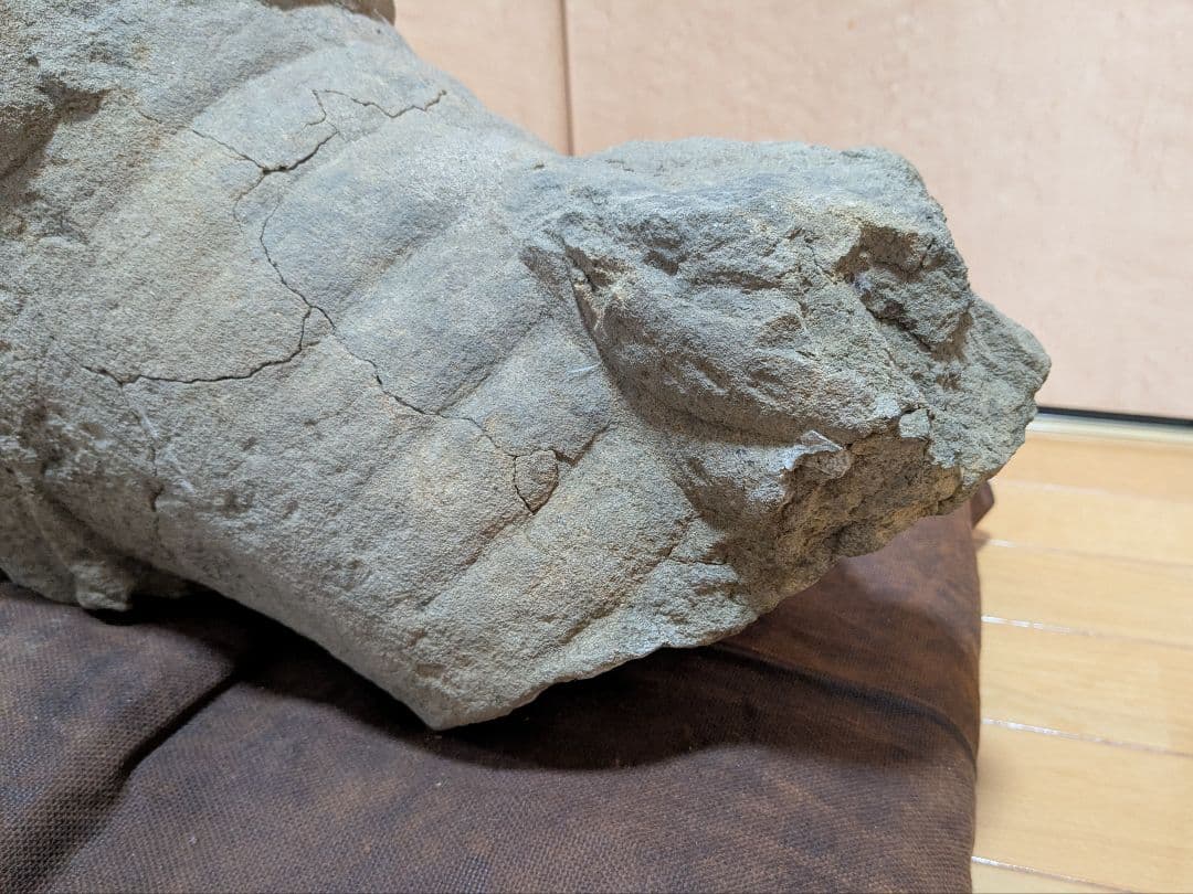 狛犬　古美術　仏教美術