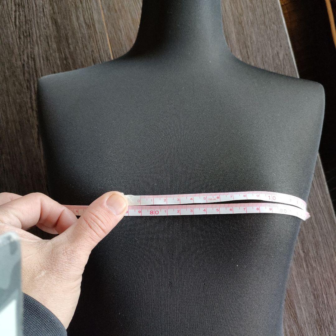 トルソー 1体 どれか選んでください