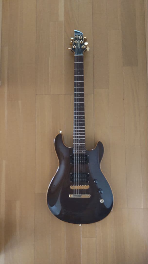 FERNANDES　APG-100 24F【レア】