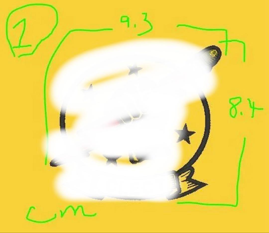 ベルクロタイプ各1