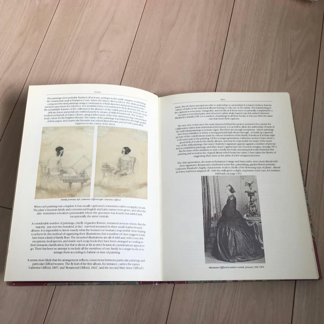 19世紀初頭の美しい植物画コレクション　ヴィンテージ本　古書 植物図鑑