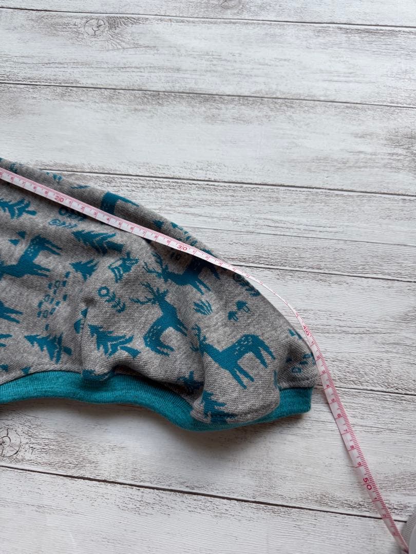 イタグレちゃん