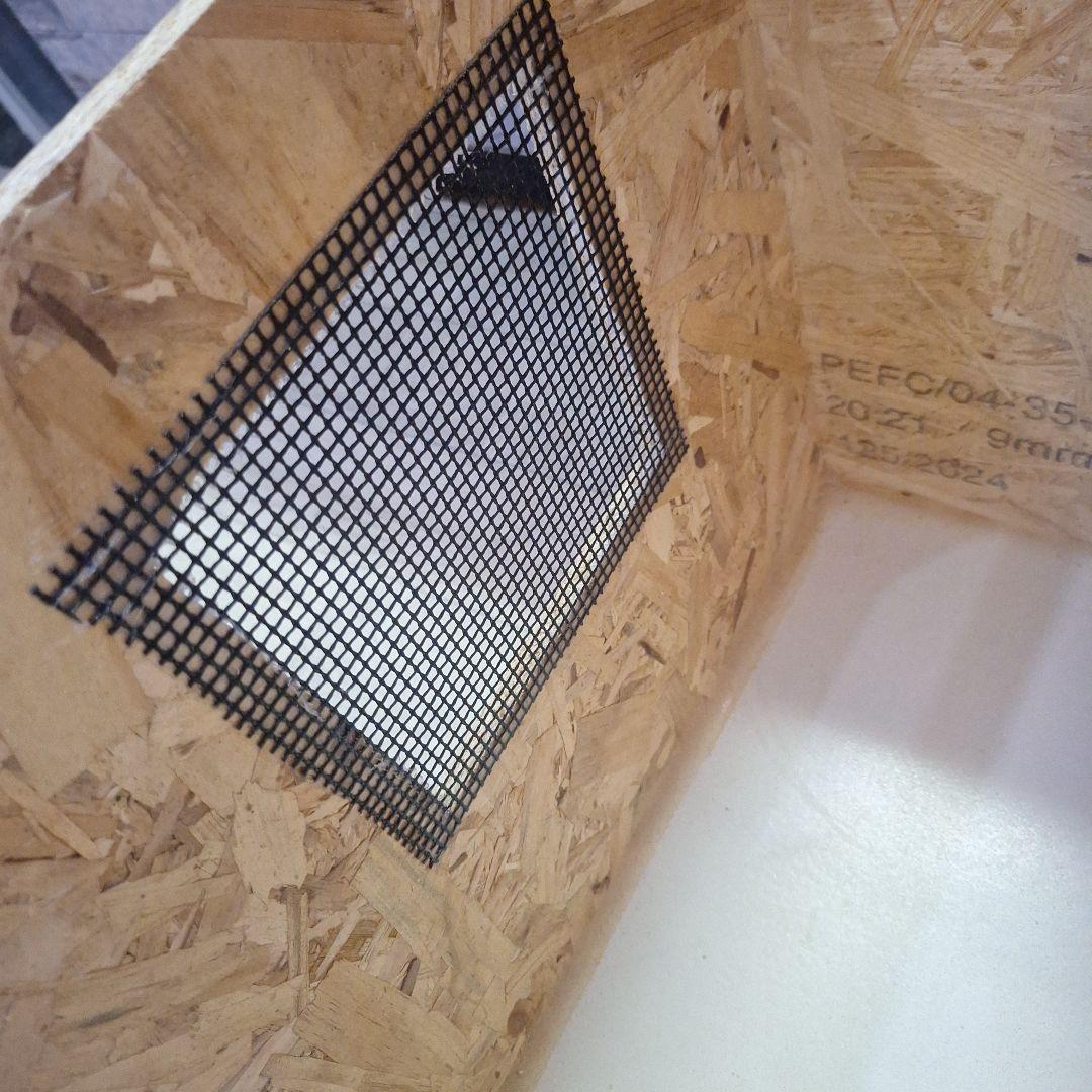 くるみ　コスパ重視！OSB木製大型ケージ(未使用)