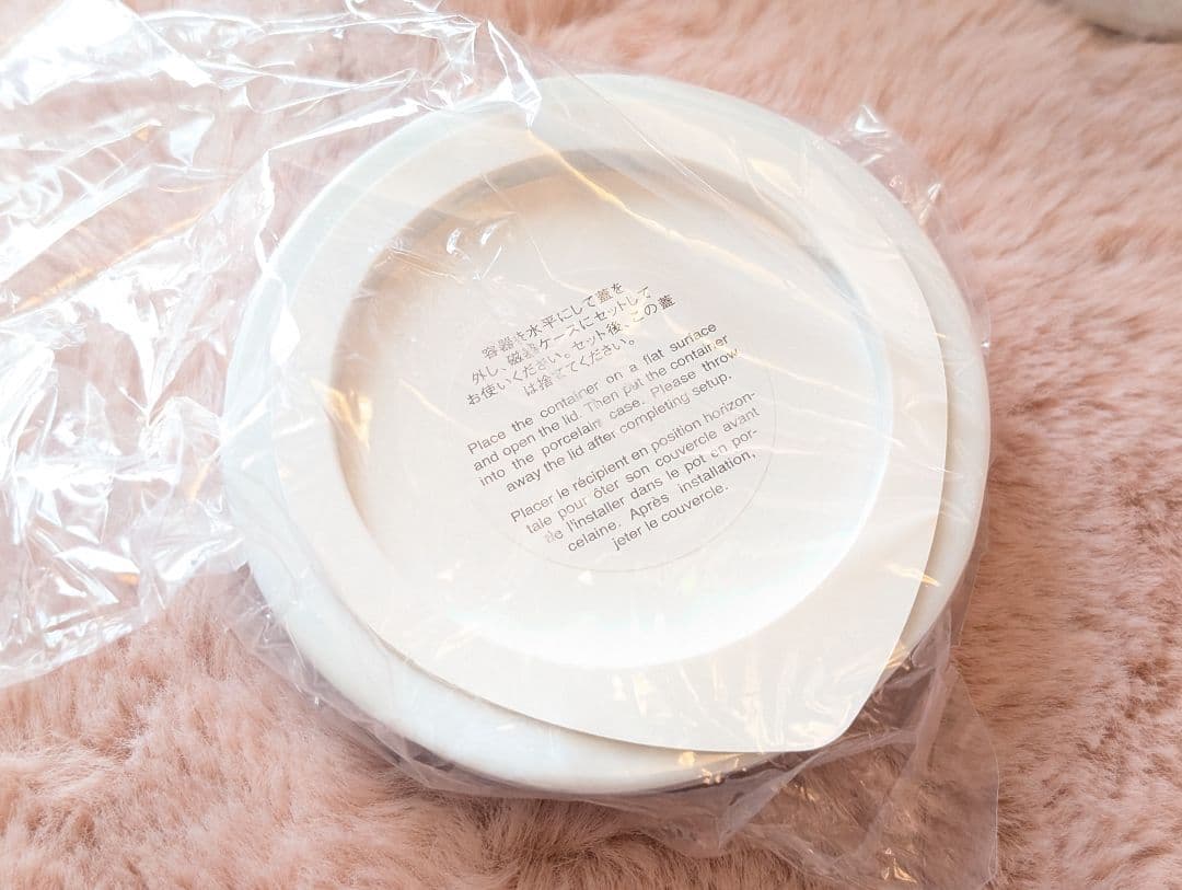 ラデュレ 2019 クリスマスコフレ 新品未使用 限定 白鳥 チーク