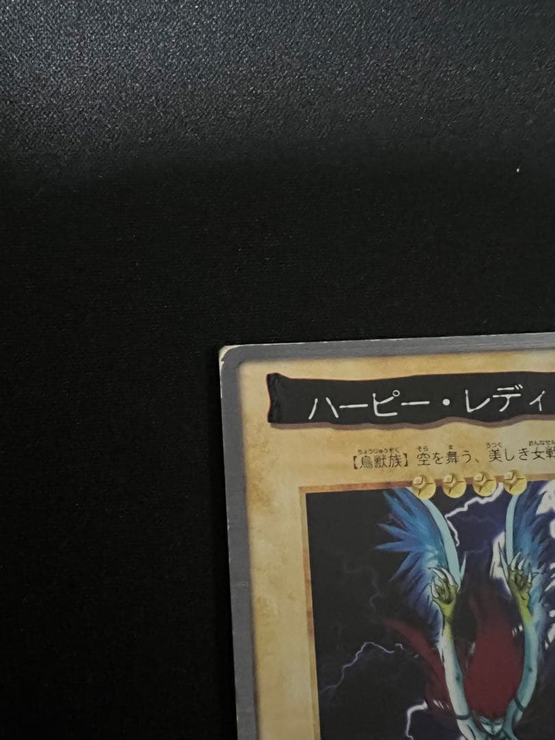 ハーピー・レディ1 エラー版 ハーピィ・レディセット 計15枚