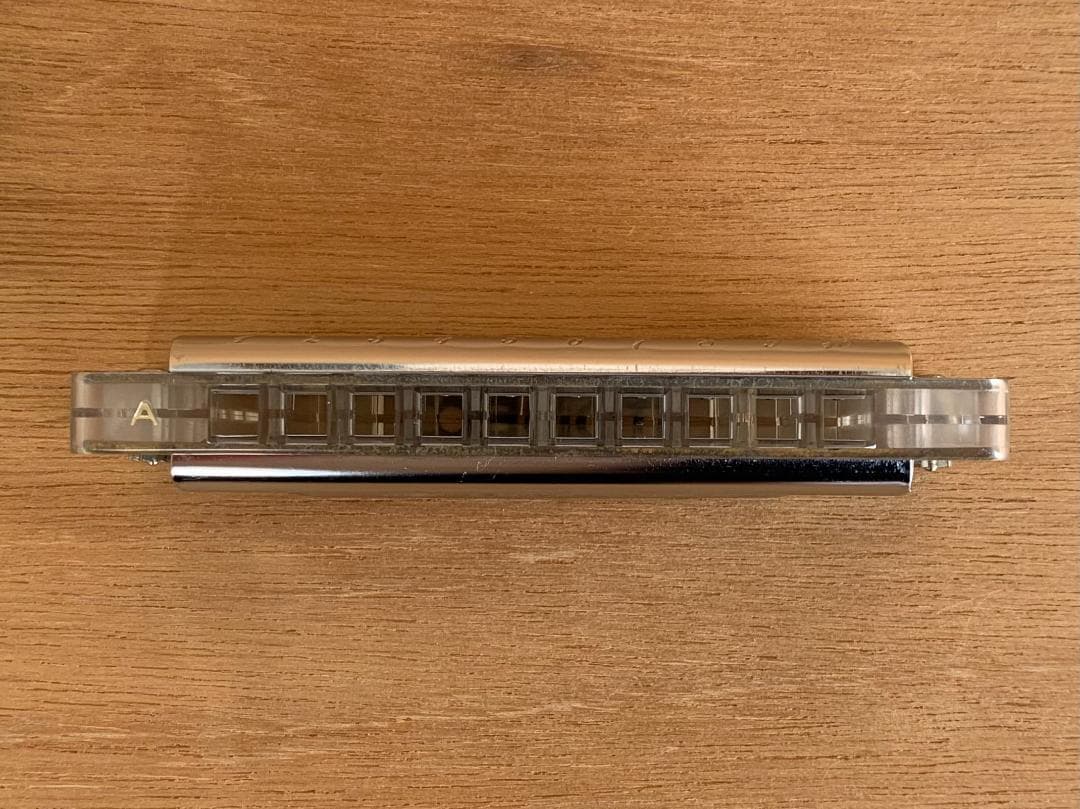 銀座 山野楽器 別注 スケルトン 限定モデル 10ホール Key-A