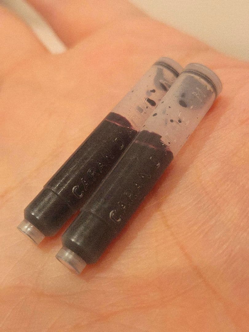 B*K様 カランダッシュ エクリドール レトロ パラジウムコート 万年筆