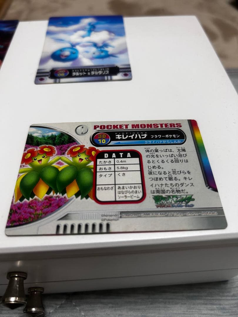 ポケモンカード アブソル エレキリュウセット