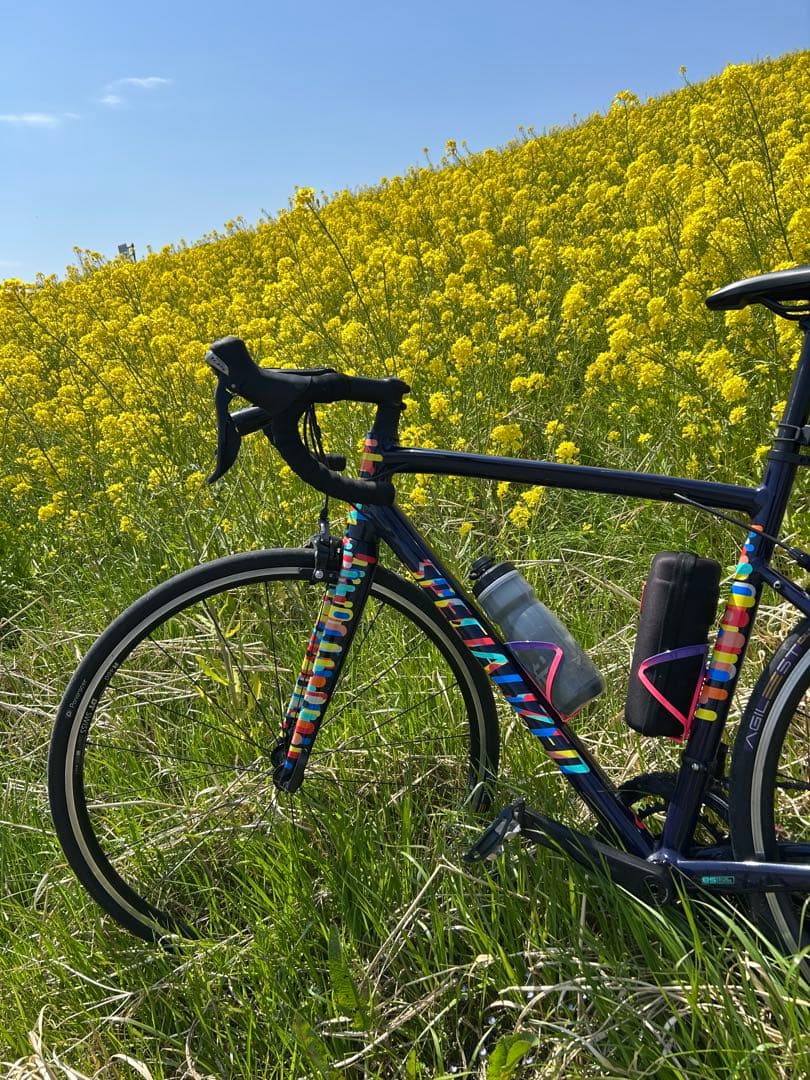 Specialized ALLEZ RED HOOK限定モデル