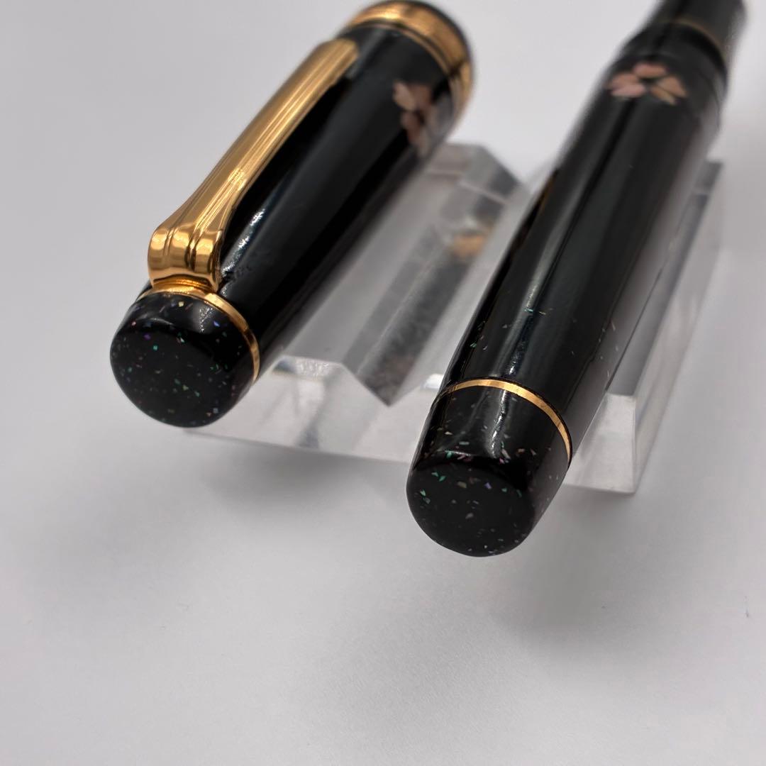 SAILOR セーラー万年筆 プロギア 黒 漆 螺鈿 桜 21K B 太字