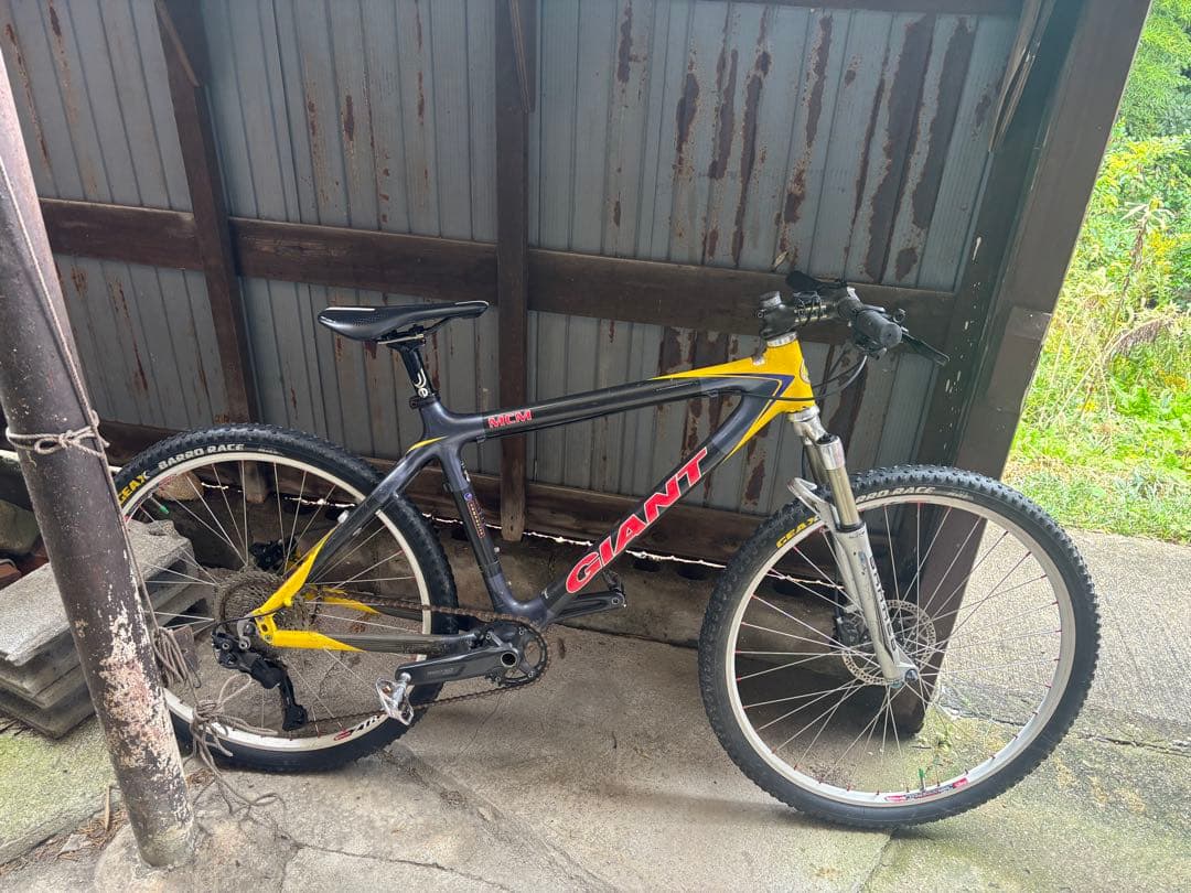 自転車本体 zest