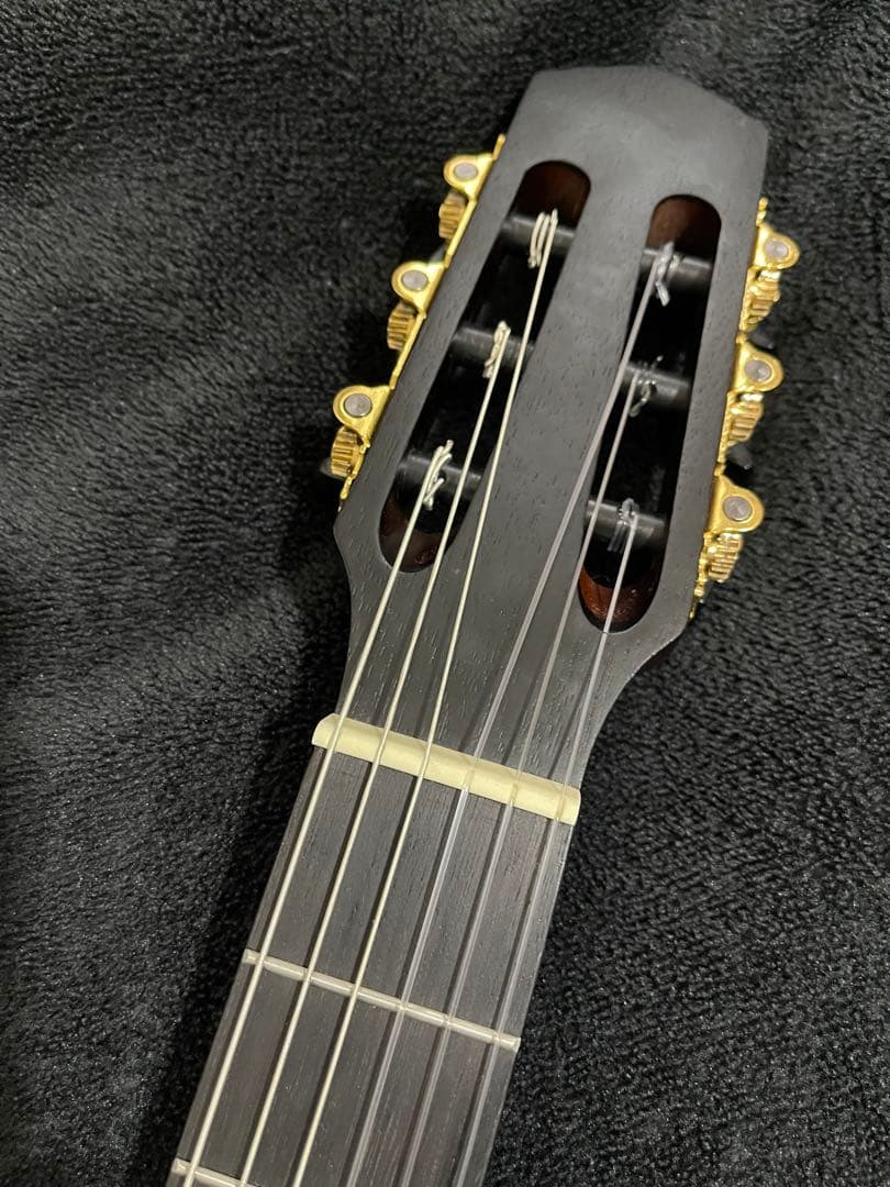 ノーブランド morris Groovin'タイプ サイレントソリッドエレガット