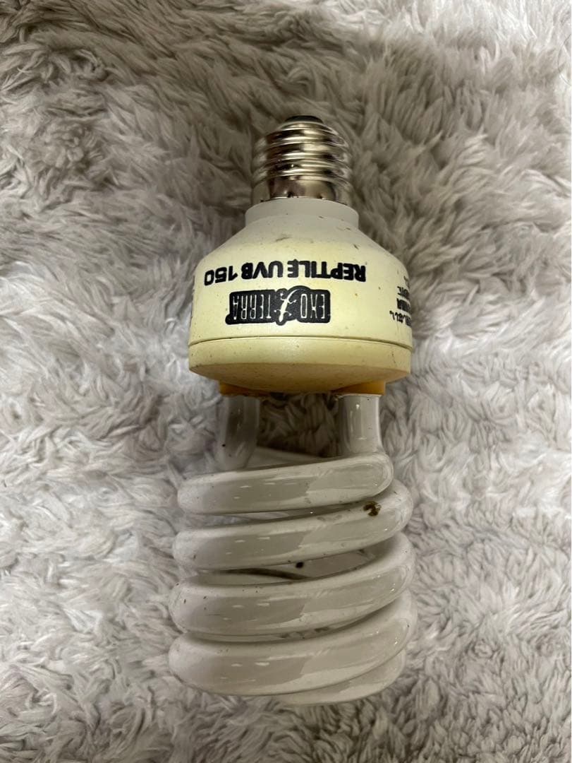 未使用80Wカーボンヒータービバリア★おまけ多数サーモ/ヒーター/ダントツ/ソケ