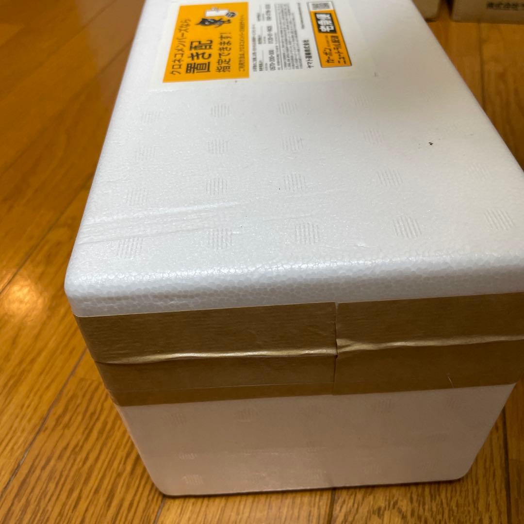 森伊蔵　新品未開封　2025年10月当選分　1800ml