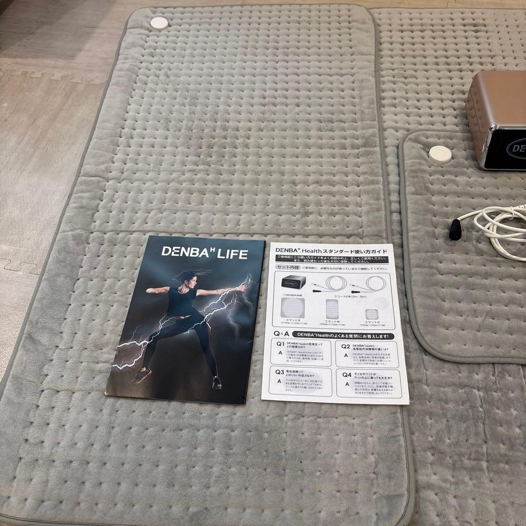 専用　DENBA Health スタンダードタイプ