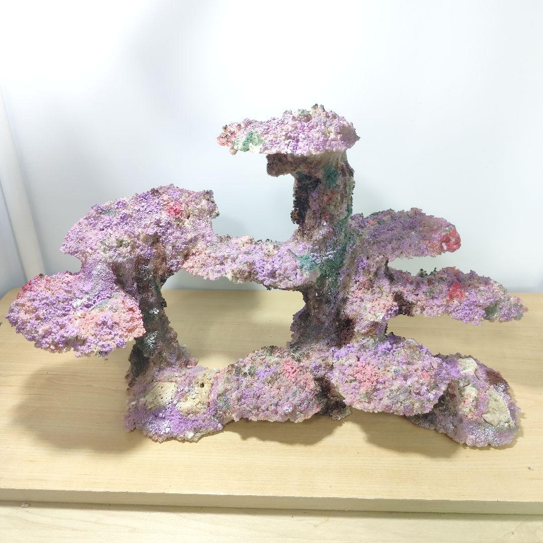 ❖新品アク抜き不要 人工ライブロック 60cm海水水槽用 レプリカ 多孔質安い1