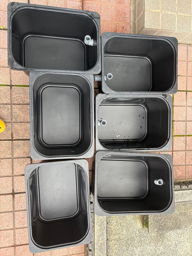 最終セール めだか飼育ケース20L IKEAトロファスト　黒色