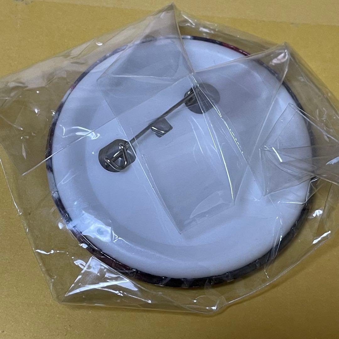 ラスト1点 アヤノ 楯山文乃 缶バッジ カゲロウプロジェクト カゲプロ 樹脂製