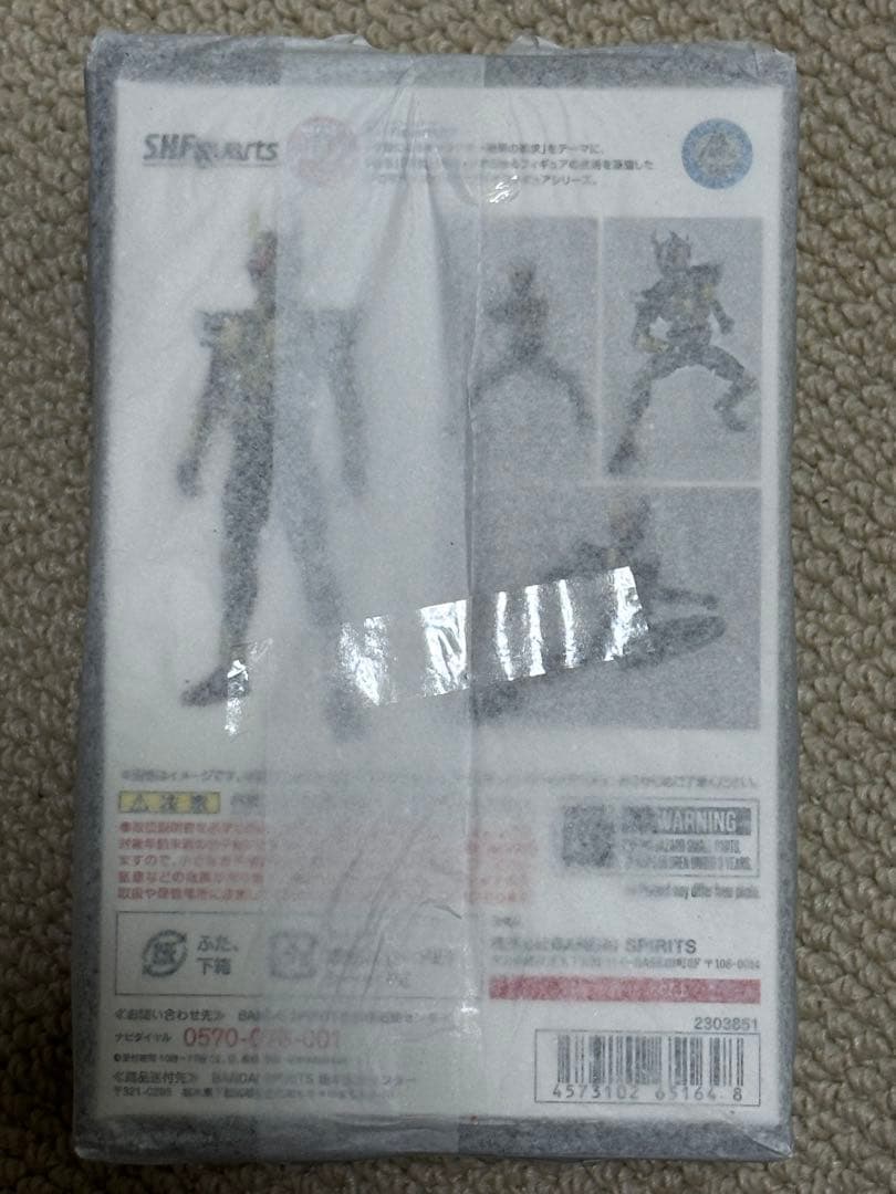 中国限定再販版 新品未開封 フィギュアーツ 真骨彫製法 仮面ライダーアギト