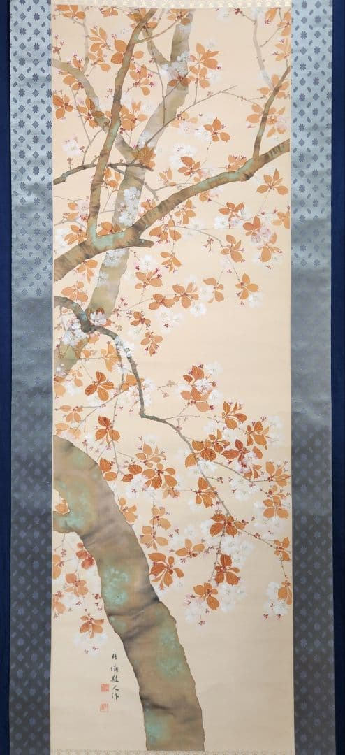 【桜花図】土居竹塘 2710 サクラ 春掛け 掛け軸 肉筆