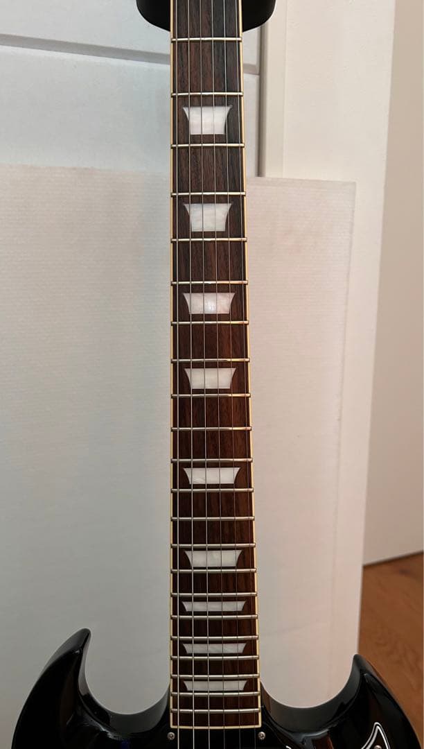 Tokai（トーカイ）/SG-124 A+ 綺麗