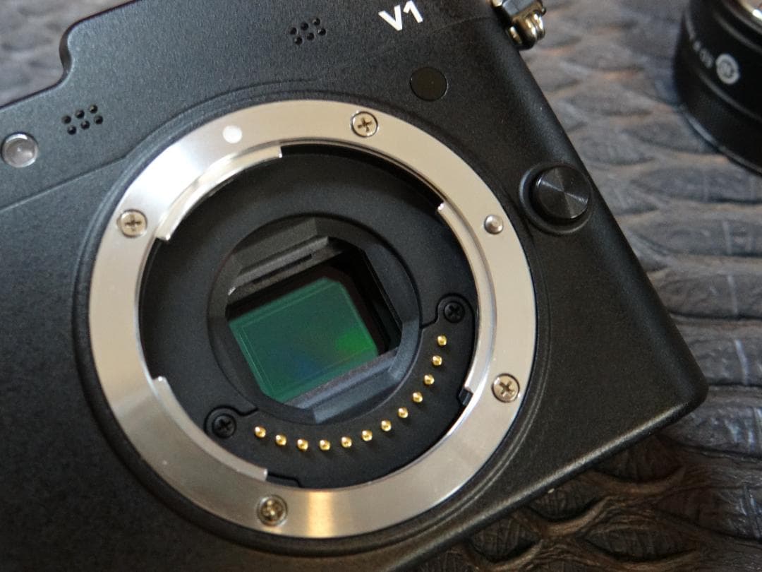 ニコンNikon1 V1 ブラックボディ パワーズームレンズ ショット数4313