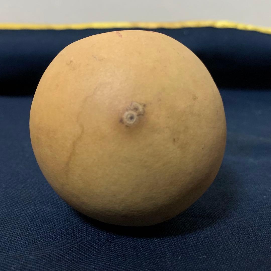 煎茶道具　柄杓　瓢杓　お値下げしました