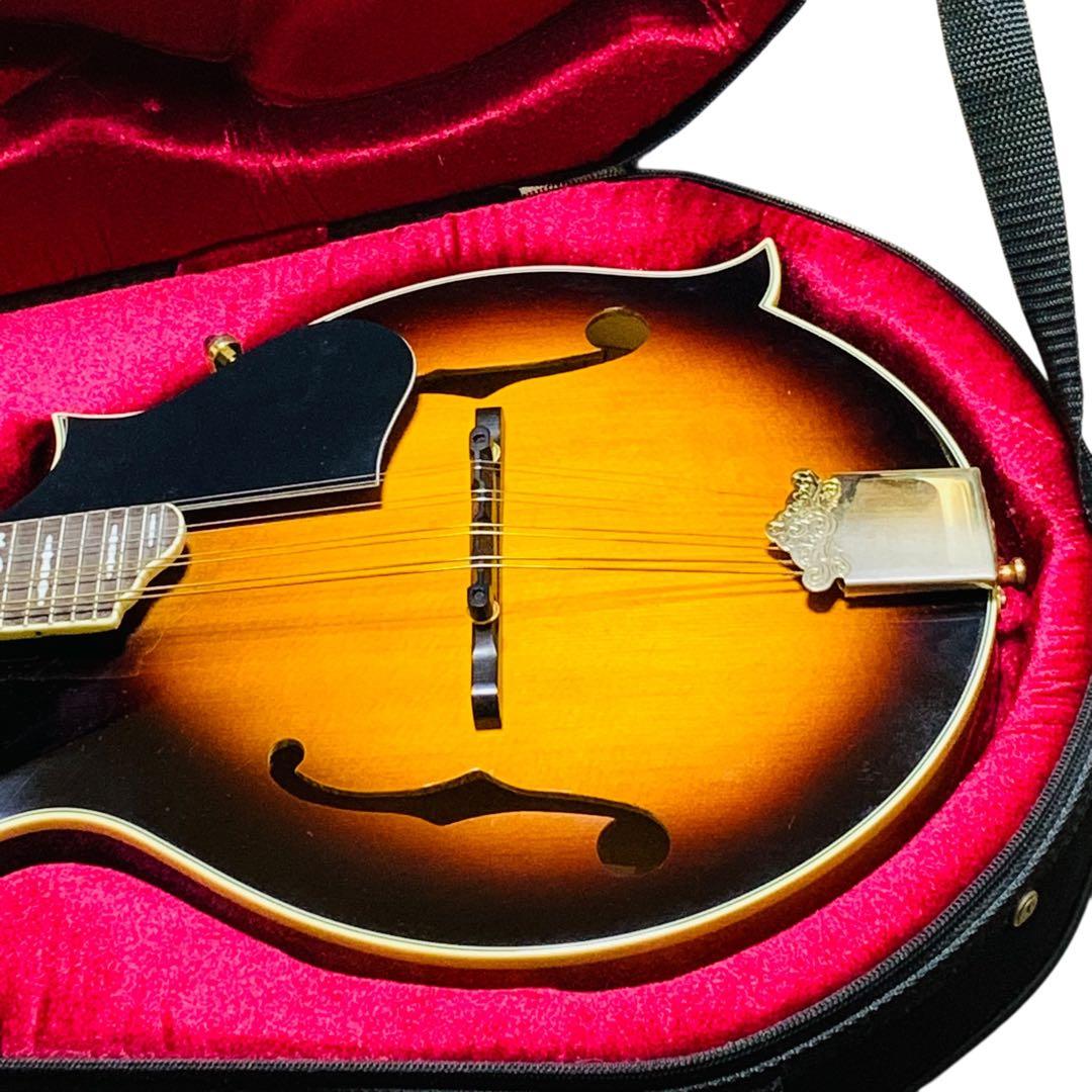 未使用級‼️Blantonマンドリン サンバースBM-30F純正セミハードケース付