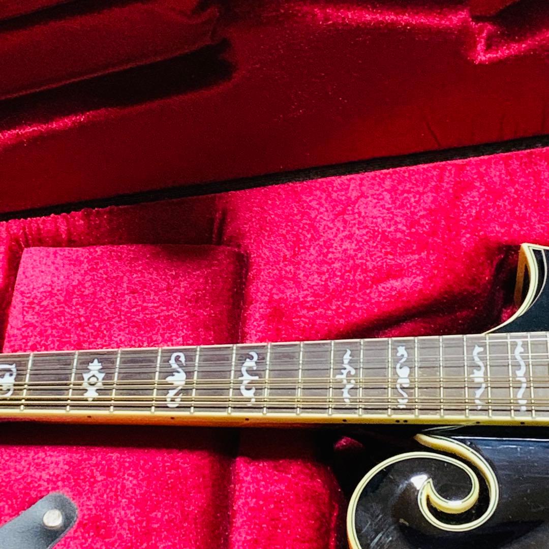 未使用級‼️Blantonマンドリン サンバースBM-30F純正セミハードケース付