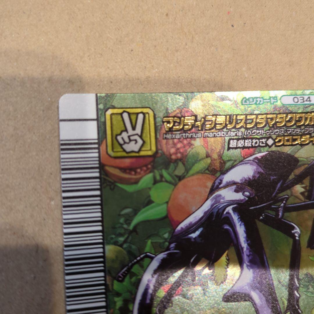 ムシキング！マンディブラリスフタマタクワガタ　5周年