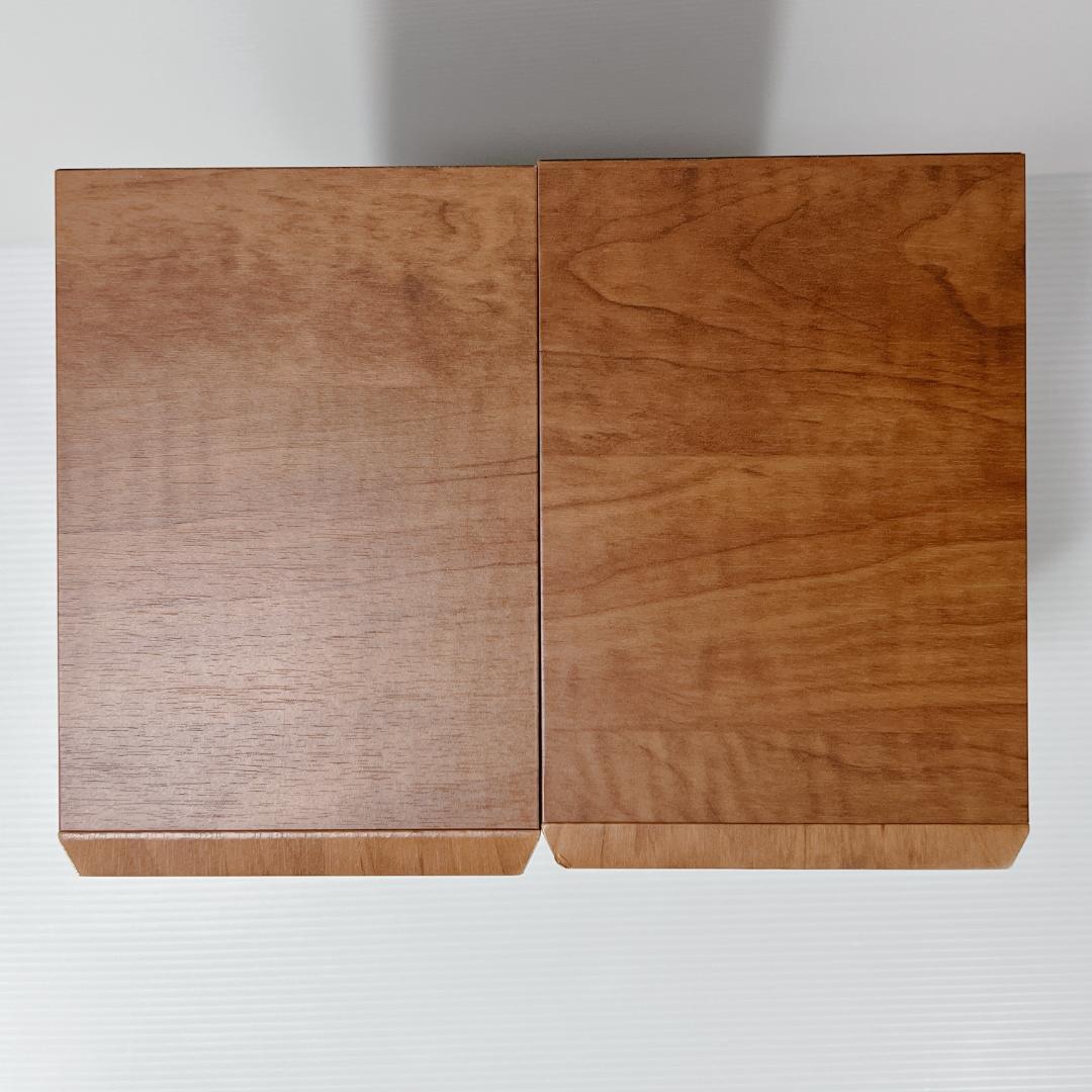 FOSTEX P2080-E スピーカー PT20 PW80