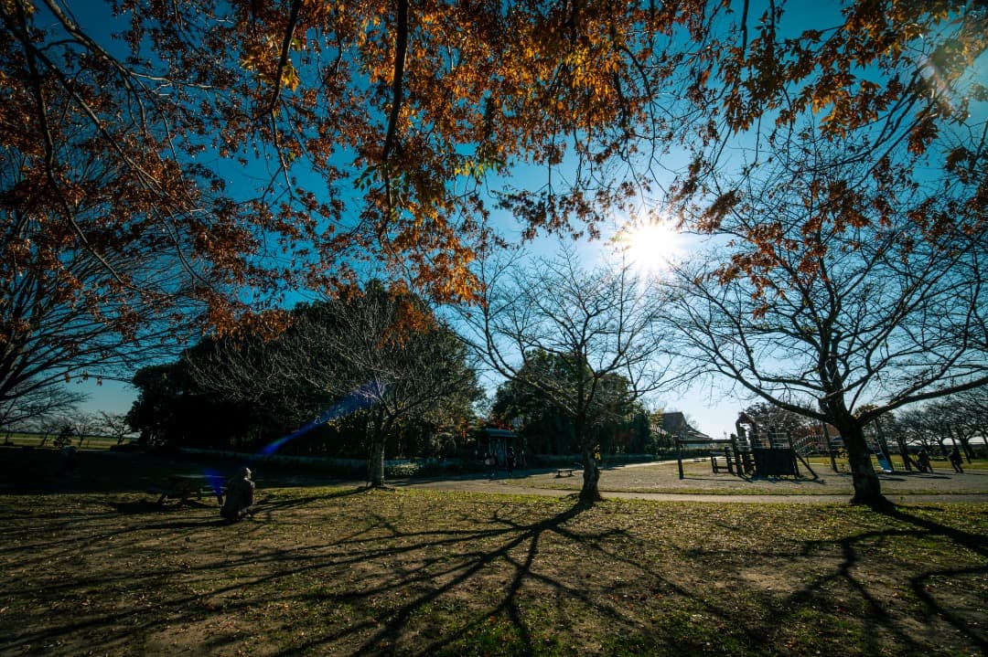 レンズ(単焦点) FUJIFILM XF8mmF3.5 R WR