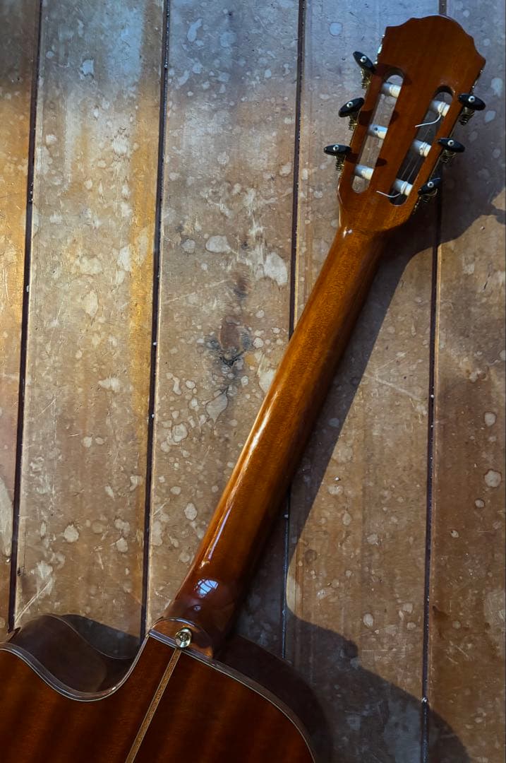 エレガット Playtech ECL-200