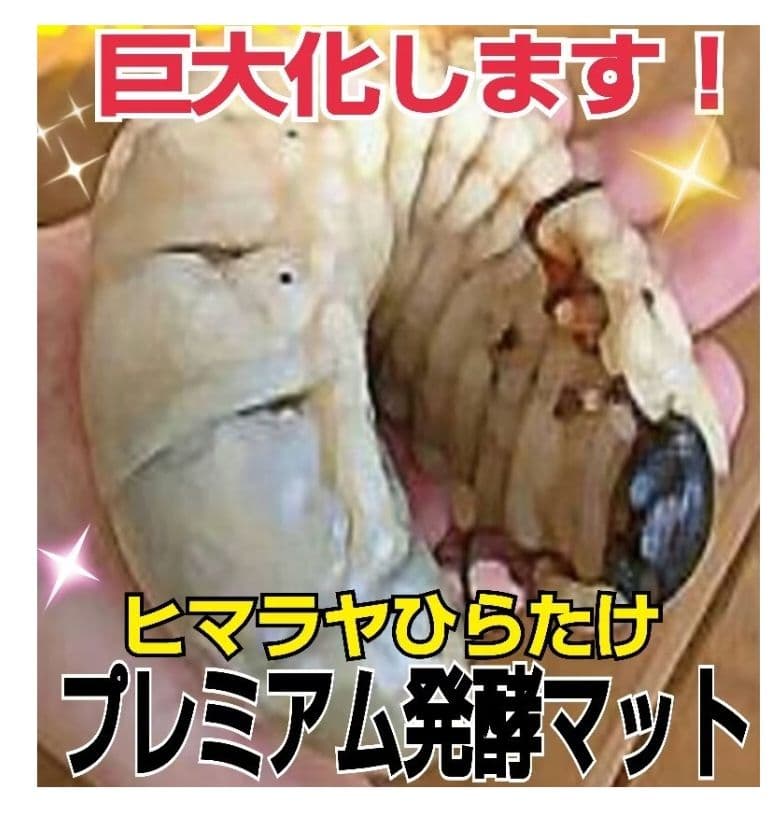 デカイ！20Lケース入りプレミアム発酵カブトムシマット【2セット】幼虫入れるだけ
