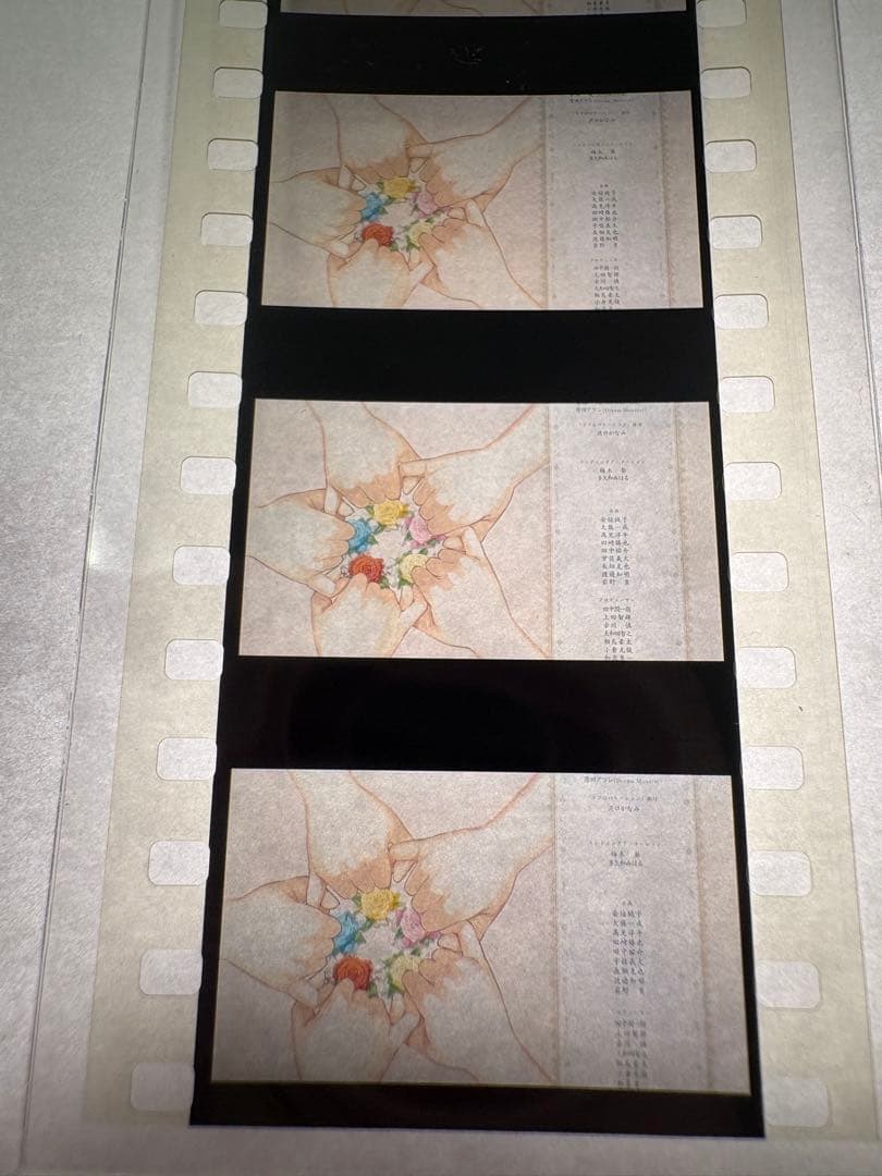 劇場版 五等分の花嫁 第6弾 入場者特典生コ マフィルム映画 5人集合3枚セット