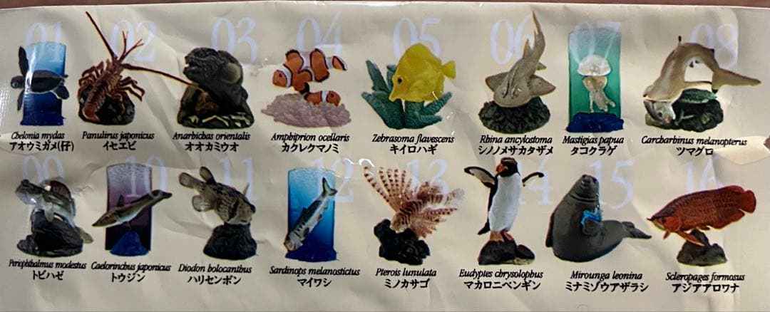 【海洋堂】29個　セブンイレブン限定　新江ノ島水族館への誘い1、2