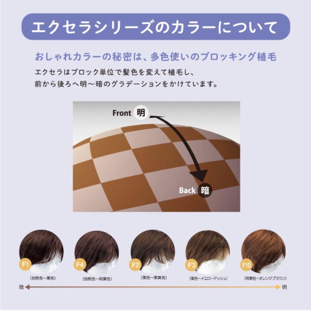 【新品未使用】レオンカ ウィッグ EX-14 F-3