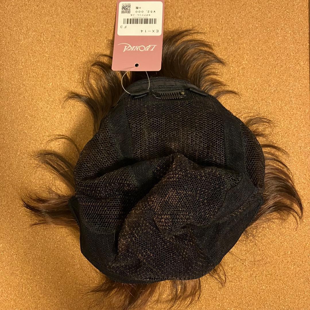 【新品未使用】レオンカ ウィッグ EX-14 F-3