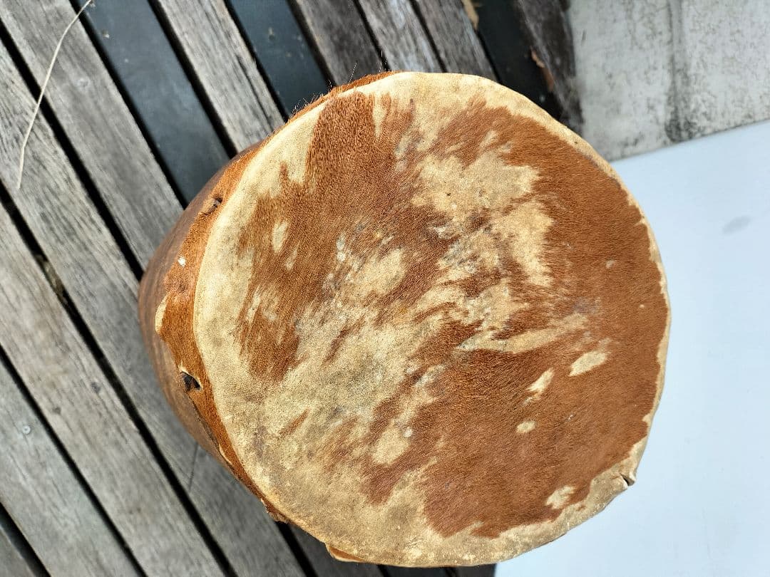 アフリカ 民族 打楽器 大型 ジャンベ 高さ67cm 打面約26cm