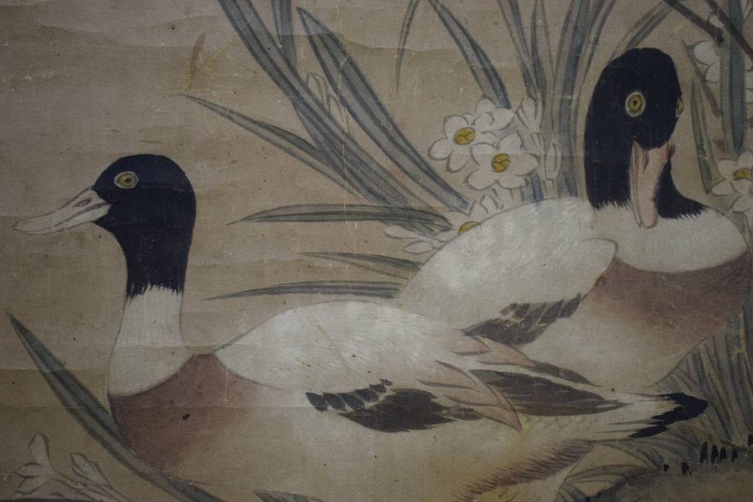 真作/狩野探幽/鴨の図/絹表装/布袋屋掛軸HH-508