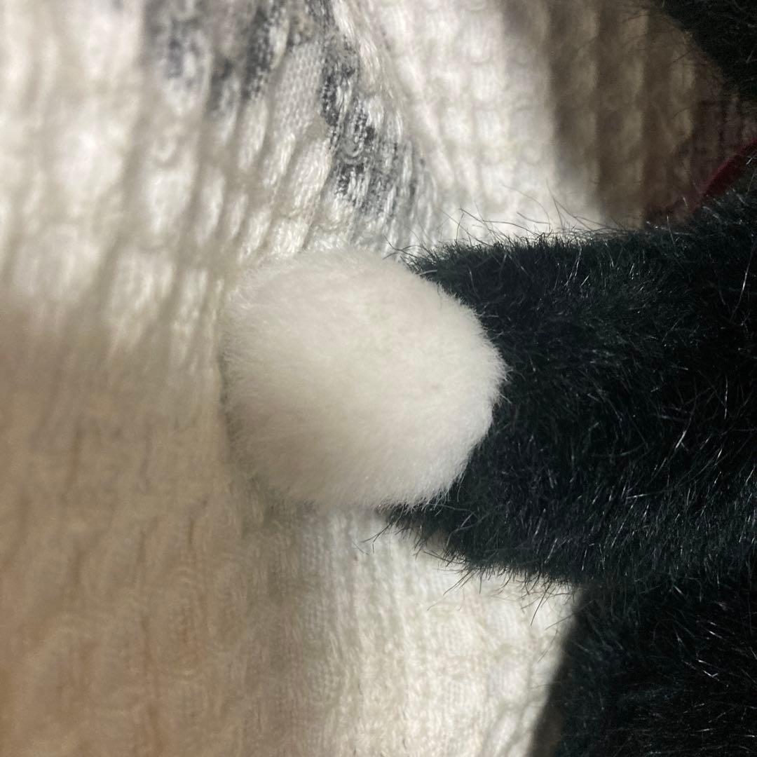 モンスイユ　 MAY BLUE シャム猫シリーズ　黒猫 ぬいぐるみ