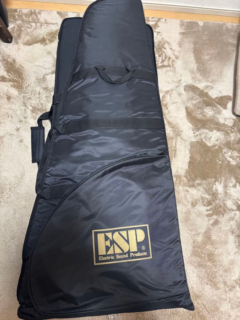 バンドリESP 氷川沙夜ギターとおまけ