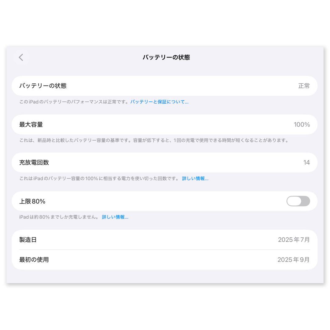 【極美品】iPad A16 256GB　シルバー　11インチ　Wi-Fiモデル