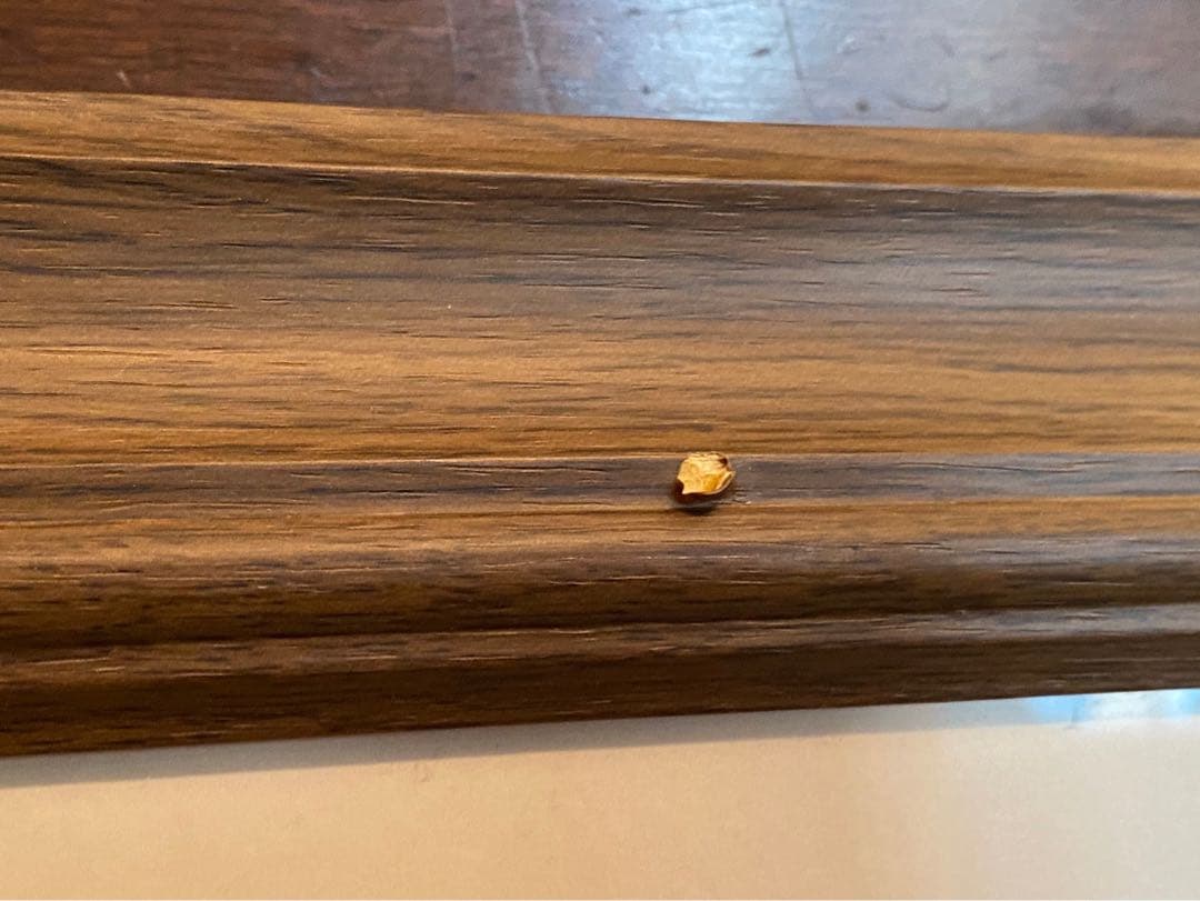 カシニョール 庭園 額縁 アート インテリア