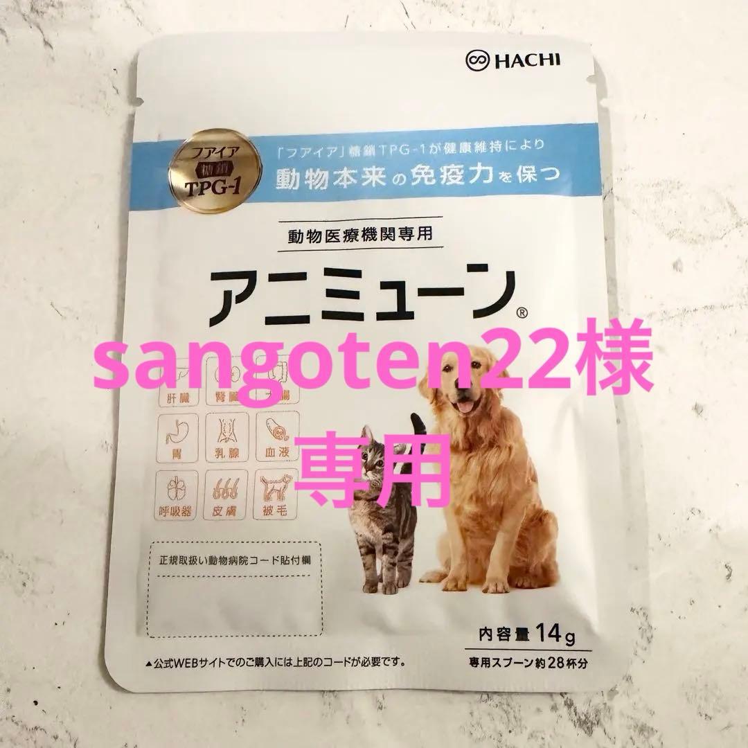 アニミューン 療法食 14g×2袋 HACHI 新品未開封