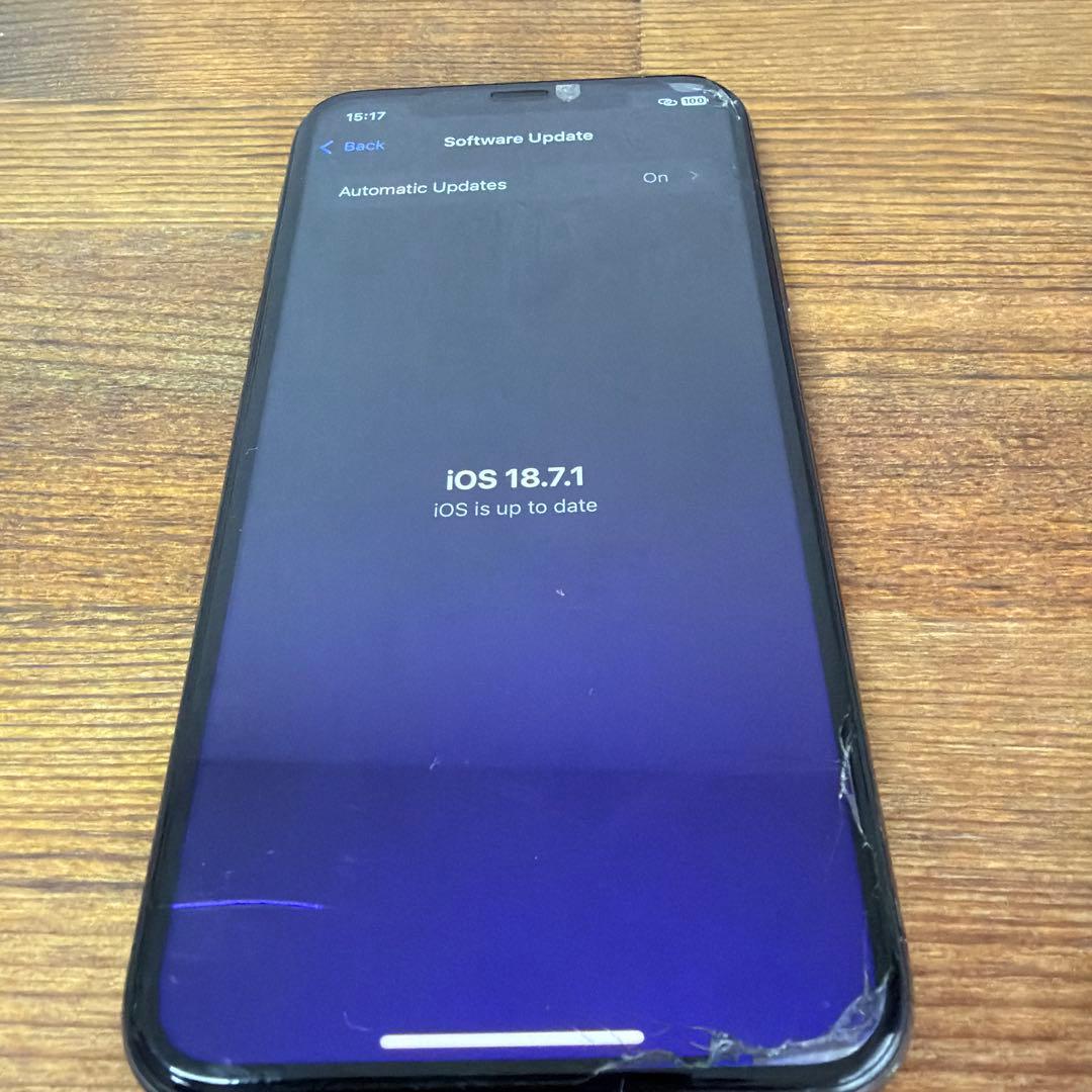 iPhone XS スペースグレ 64GB SIMフリー　純正充電器 イアフォン