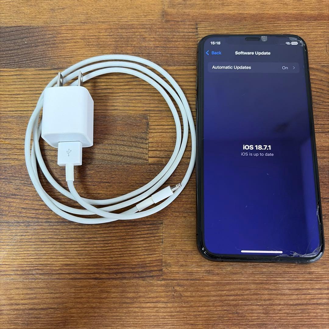 iPhone XS スペースグレ 64GB SIMフリー　純正充電器 イアフォン